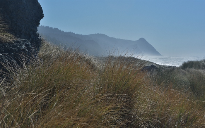 the coast looking south